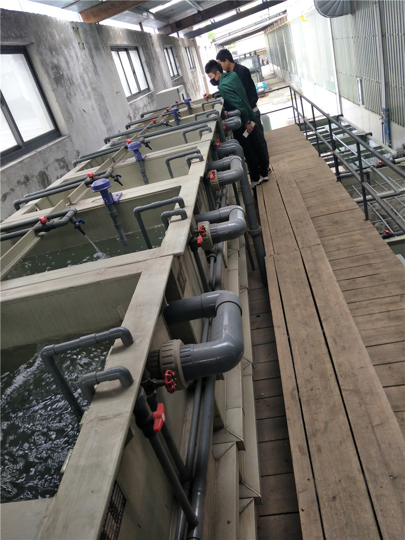 宁波环保设备源头厂家-造纸厂污水处理设备